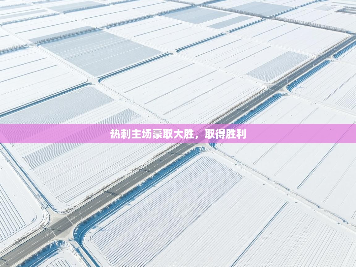 热刺主场豪取大胜,取得胜利 第1张