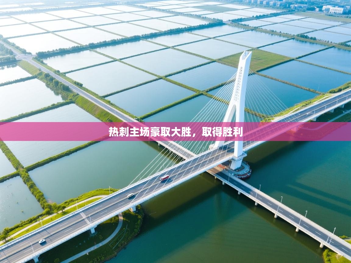 热刺主场豪取大胜,取得胜利 第2张