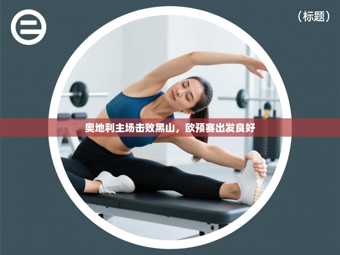 奥地利主场击败黑山，欧预赛出发良好  第2张