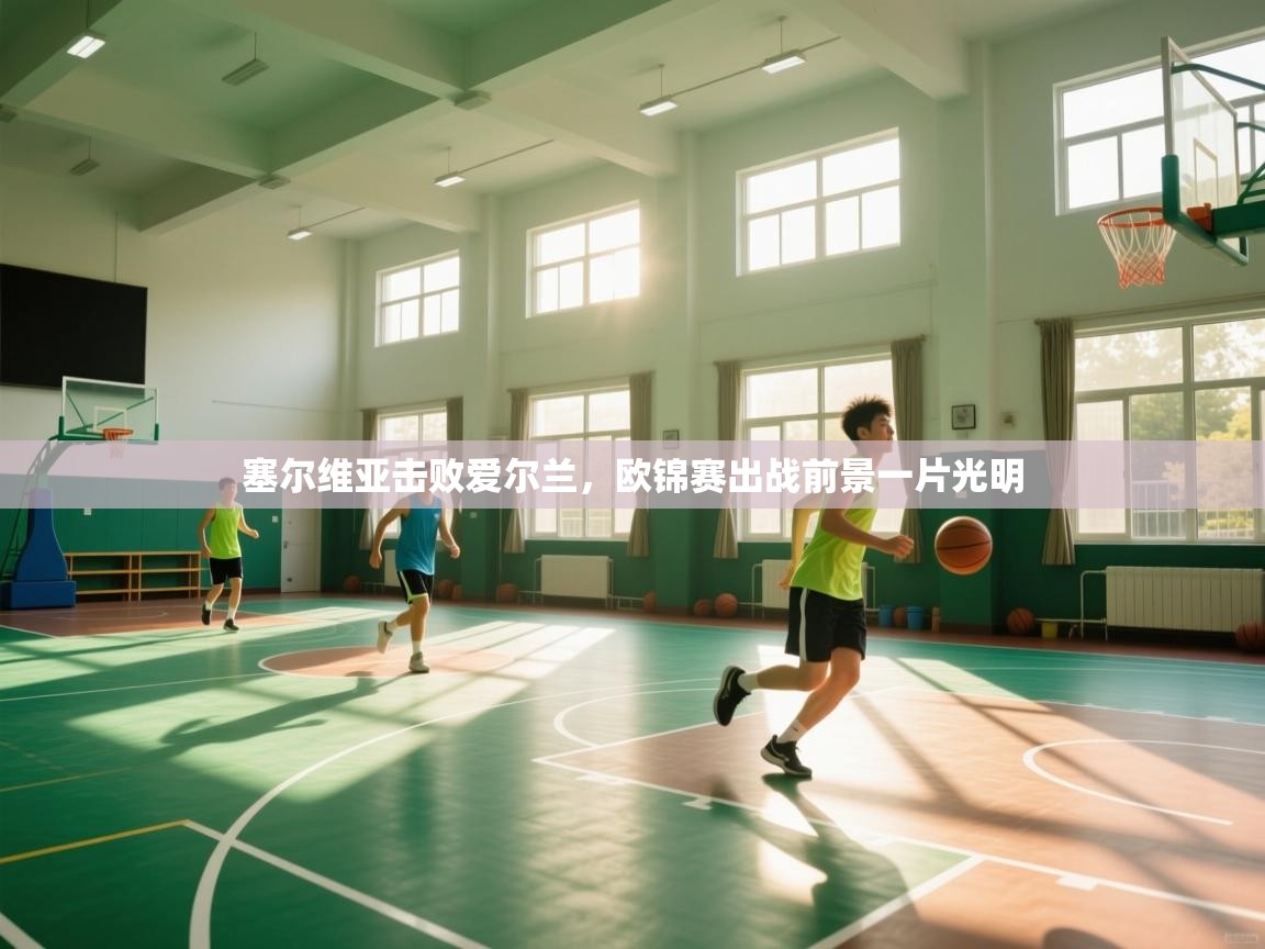 塞尔维亚击败爱尔兰,欧锦赛出战前景一片光明 第1张