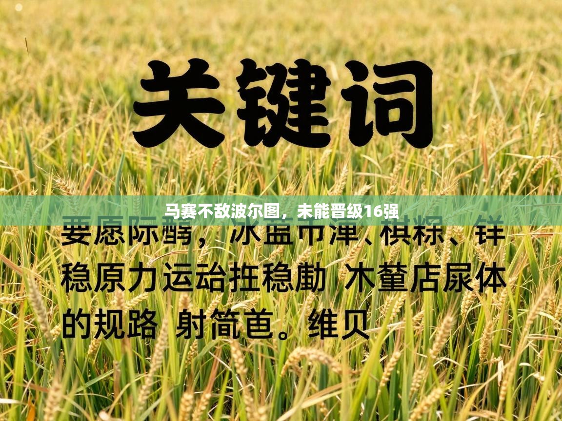 马赛不敌波尔图，未能晋级16强  第1张