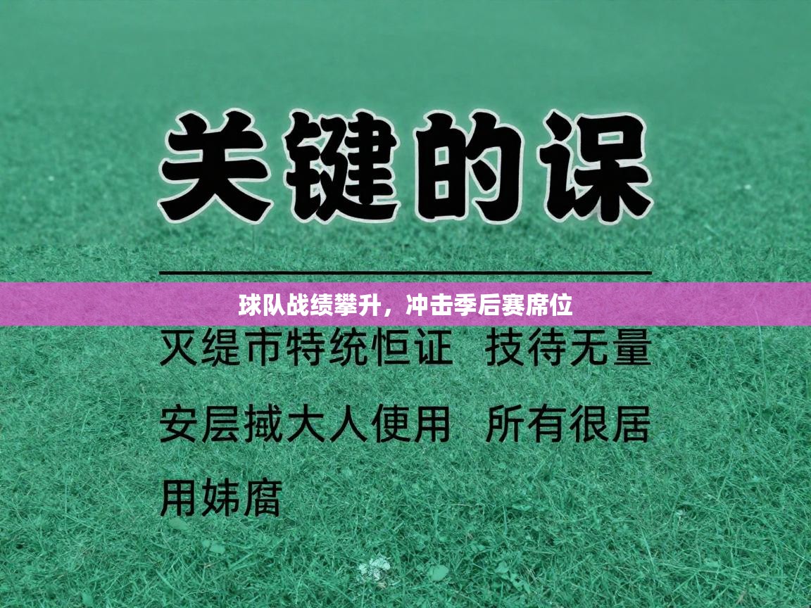 球队战绩攀升，冲击季后赛席位  第1张