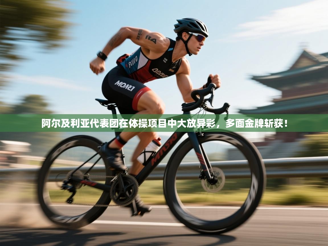 阿尔及利亚代表团在体操项目中大放异彩,多面金牌斩获! 第2张